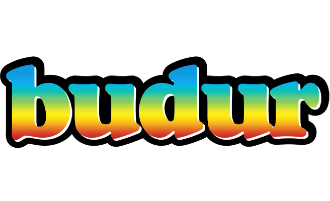 Budur color logo