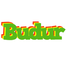 Budur crocodile logo