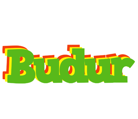 Budur crocodile logo