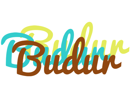 Budur cupcake logo