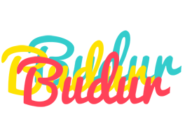 Budur disco logo