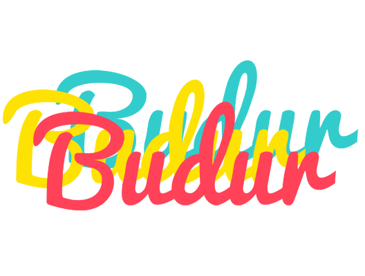 Budur disco logo