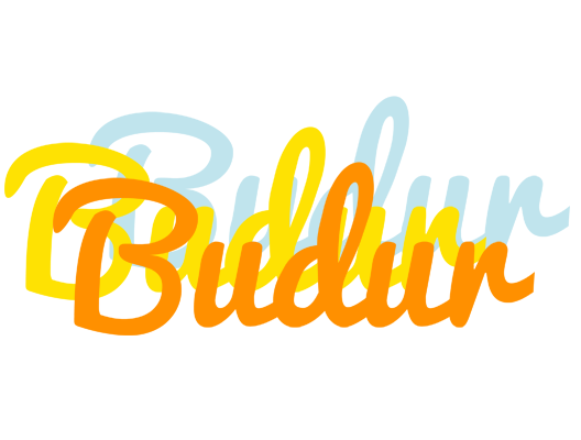 Budur energy logo