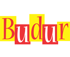 Budur errors logo
