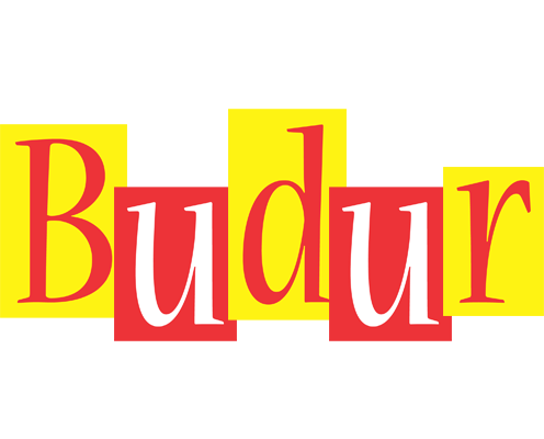 Budur errors logo
