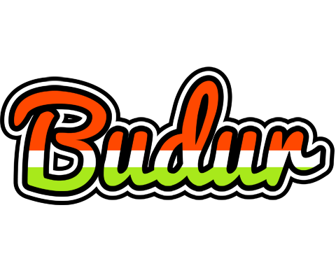 Budur exotic logo