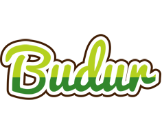 Budur golfing logo