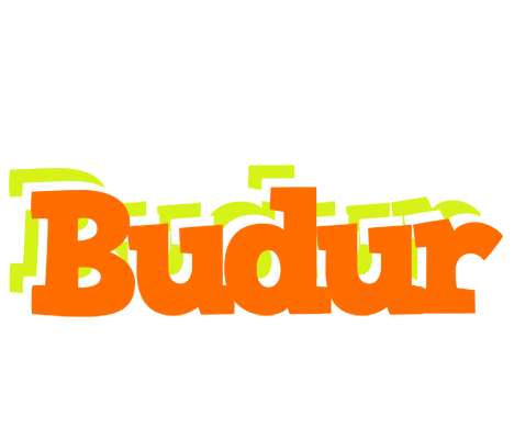 Budur healthy logo