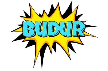 Budur indycar logo