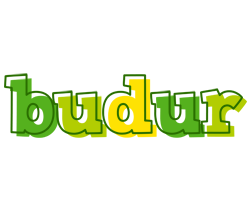 Budur juice logo
