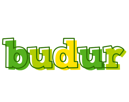 Budur juice logo