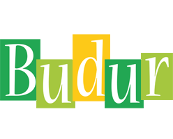Budur lemonade logo