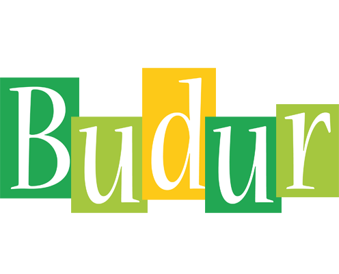 Budur lemonade logo