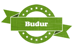 Budur natural logo