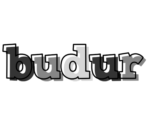 Budur night logo