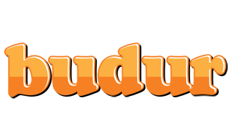Budur orange logo