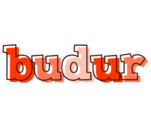 Budur paint logo