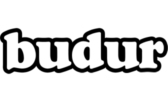 Budur panda logo