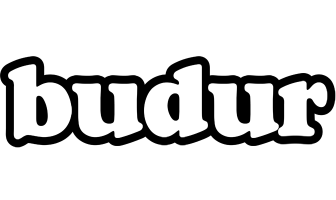 Budur panda logo