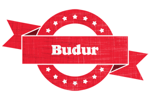 Budur passion logo