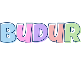 Budur pastel logo
