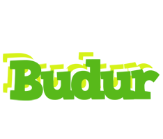 Budur picnic logo