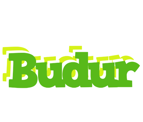 Budur picnic logo