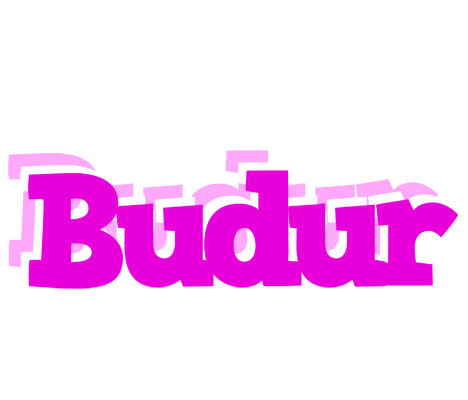 Budur rumba logo