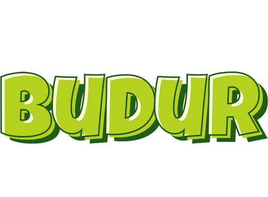 Budur summer logo