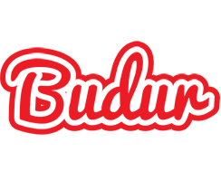 Budur sunshine logo