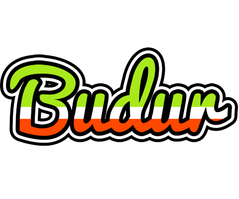 Budur superfun logo