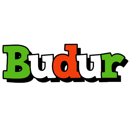 Budur venezia logo
