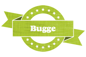 Bugge change logo