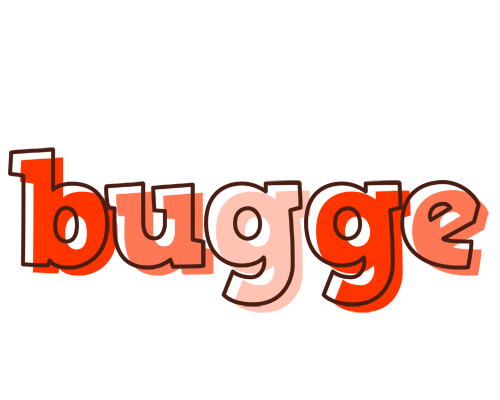 Bugge paint logo
