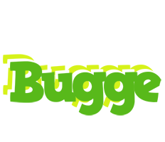 Bugge picnic logo