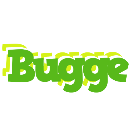 Bugge picnic logo