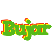 Bujar crocodile logo