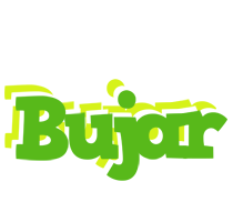 Bujar picnic logo