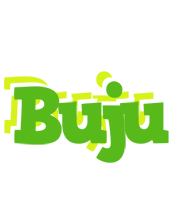 Buju picnic logo