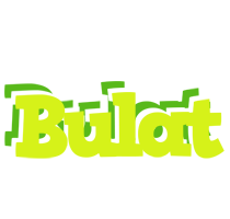 Bulat citrus logo