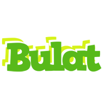 Bulat picnic logo