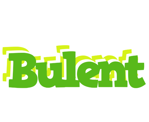 Bulent picnic logo