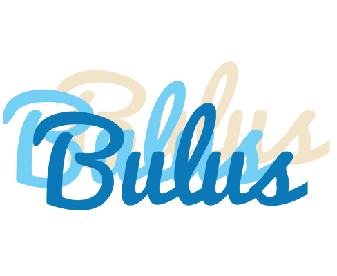 Bulus breeze logo
