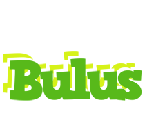 Bulus picnic logo