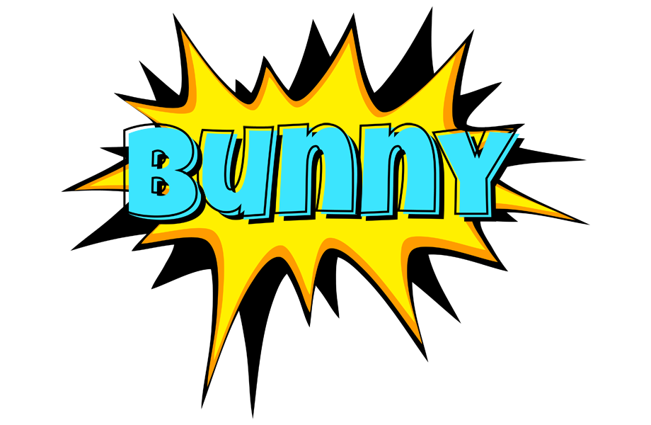 Bunny indycar logo