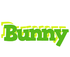 Bunny picnic logo