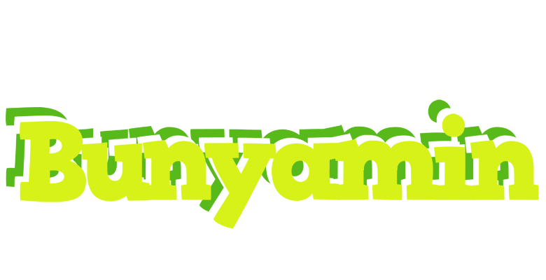 Bunyamin citrus logo