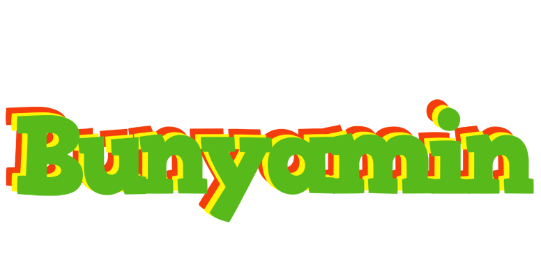 Bunyamin crocodile logo