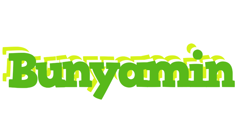Bunyamin picnic logo