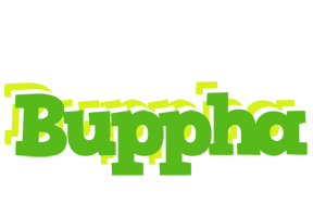 Buppha picnic logo